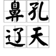 鼻孔遼天 鼻孔遼天