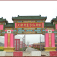 工聯村(湖南省衡南縣譚子山鎮轄村)