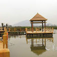 濱海濕地公園 濱海濕地公園