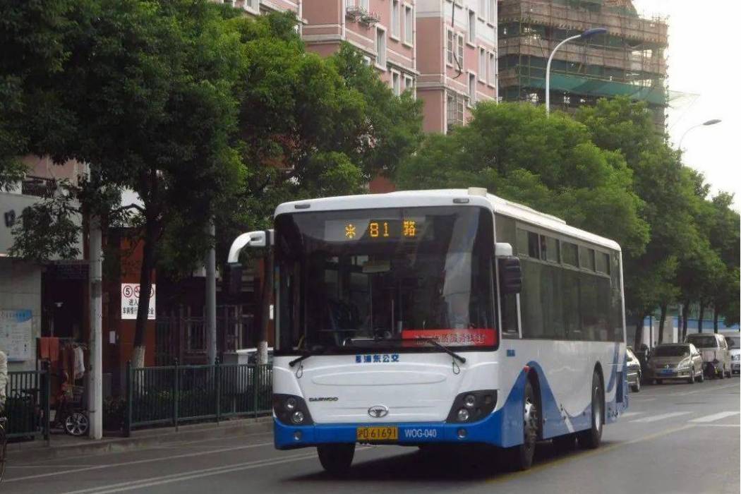 上海公交81路