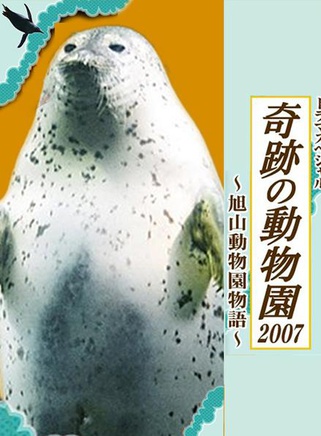 伊藤梨沙子 伊藤梨沙子