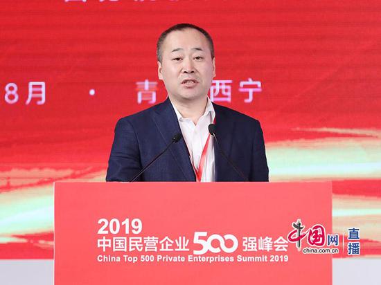滕泰在2019中國民營企業500強峰會上作報告