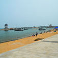 龍灣海濱 龍灣海濱