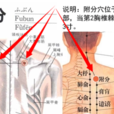 附分穴 附分穴