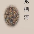 龍棲河 龍棲河