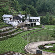 雙洞村(貴州省六盤水市鐘山區月照鄉下轄村) 雙洞村(貴州省六盤水市鐘山區月照鄉下轄村)