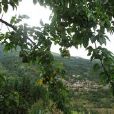 和坪村(雲南省紅河州元陽縣嘎娘鄉和坪村) 和坪村(雲南省紅河州元陽縣嘎娘鄉和坪村)