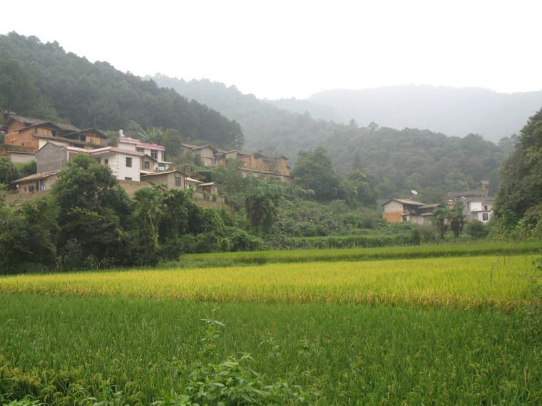 下金鴨村 下金鴨村