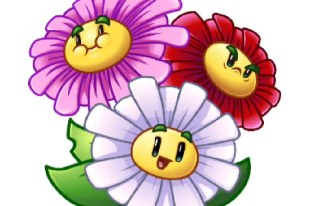 眩暈雛菊 眩暈雛菊