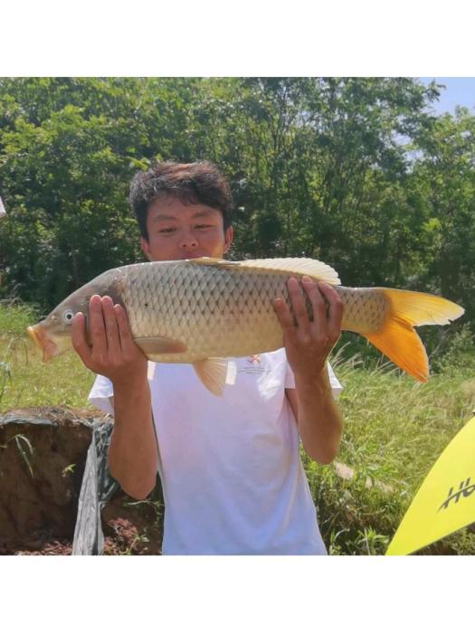 吳亞釣魚 吳亞釣魚