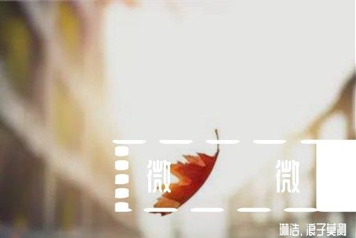 微微(琳浩和浪子莫測的DJ歌曲) 微微(琳浩和浪子莫測的DJ歌曲)