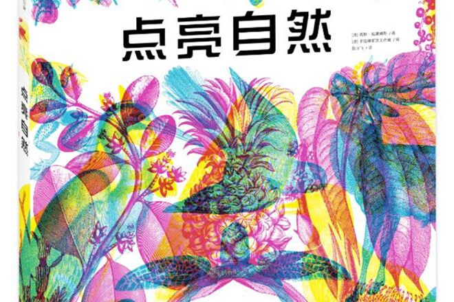 點亮自然 點亮自然