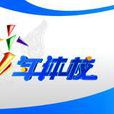 少年體校 少年體校