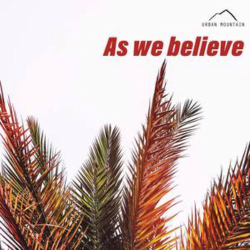 As we believe As we believe
