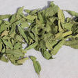 羅布麻葉(羅布麻葉)