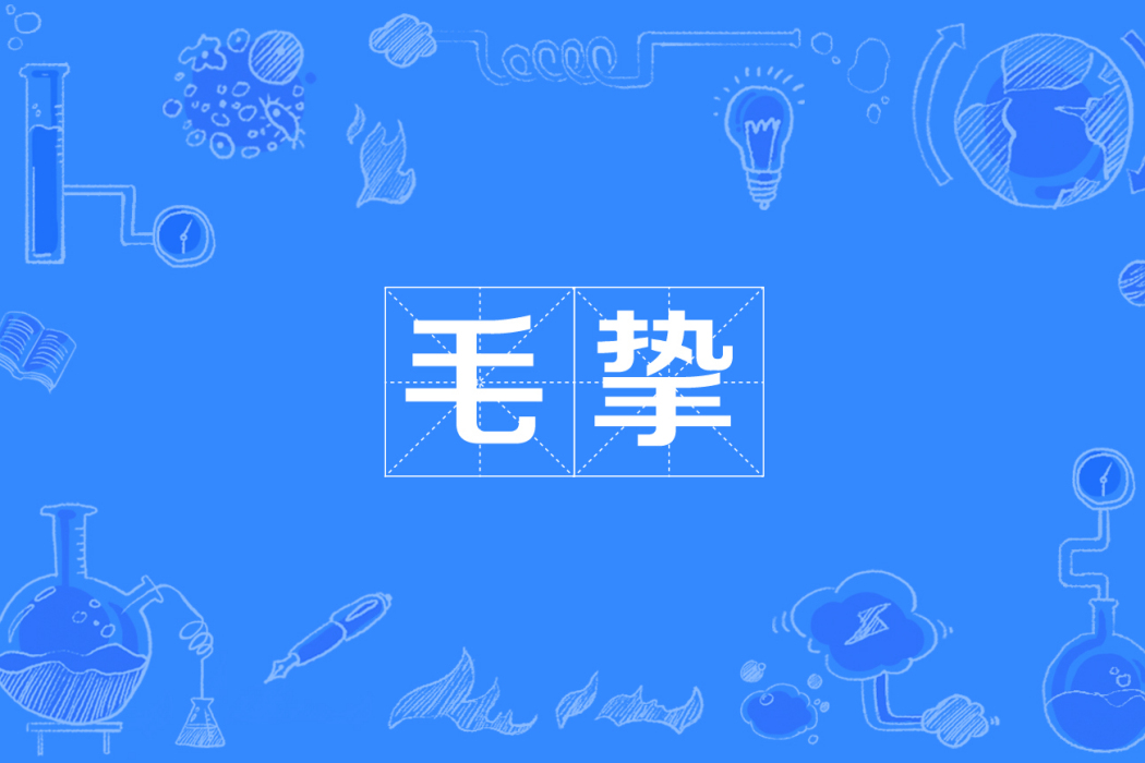 毛摯 毛摯