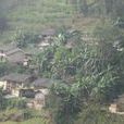 陳家寨村(沙依坡鄉阿哈迷村委會陳家寨村) 陳家寨村(沙依坡鄉阿哈迷村委會陳家寨村)