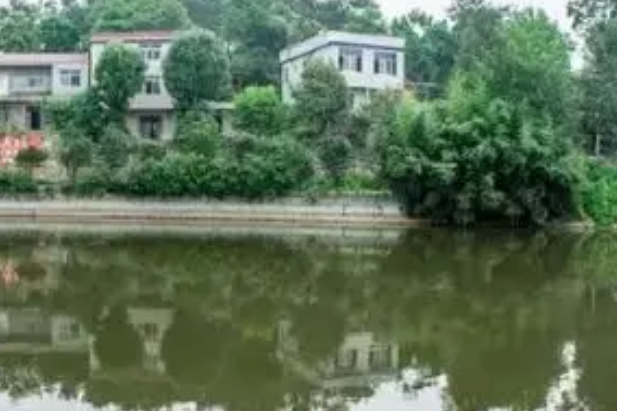 唐窪 唐窪