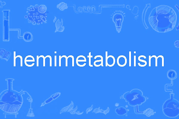 hemimetabolism