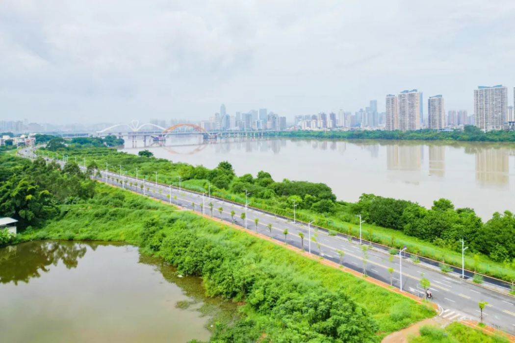 江濱路(惠州市惠城區水口街道堤路結合交通工程) 江濱路(惠州市惠城區水口街道堤路結合交通工程)