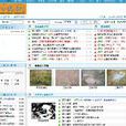 小小說月刊