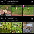 專輯相冊 專輯相冊