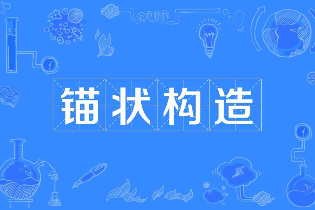 錨狀構造 錨狀構造
