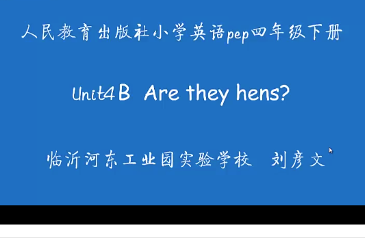 Are they hens? Are they hens?