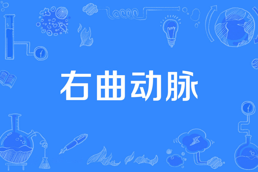 右曲動脈 右曲動脈