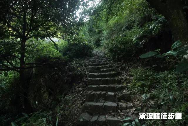 承流峰 承流峰