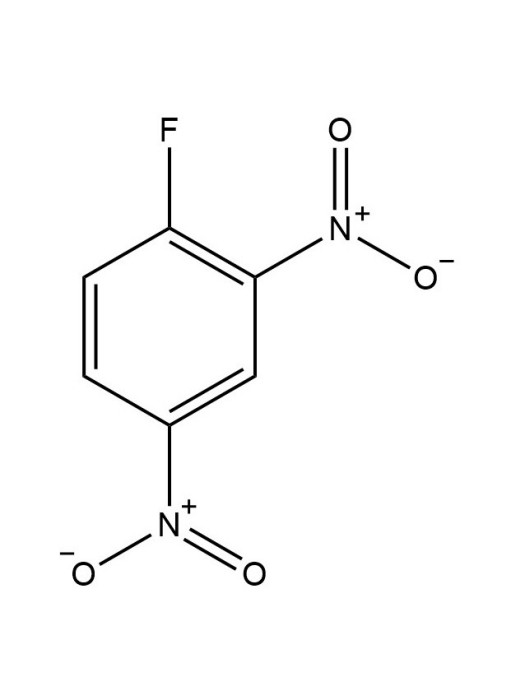 2,4-二硝基氟苯 2,4-二硝基氟苯