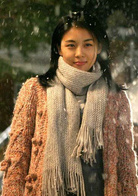 傻瓜(韓國2008年車太賢、河智苑主演電影)