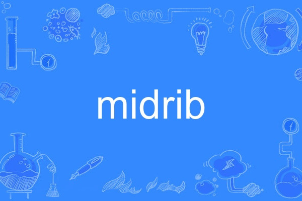 midrib midrib