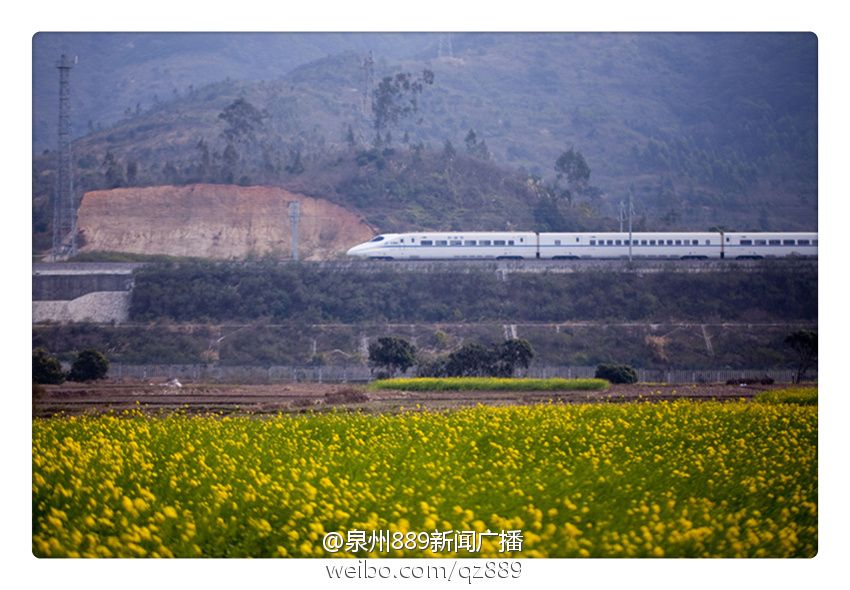 官溪村(泉州惠安縣下轄村) 官溪村(泉州惠安縣下轄村)