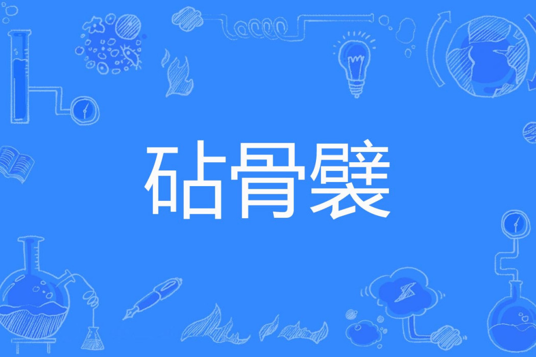 砧骨襞
