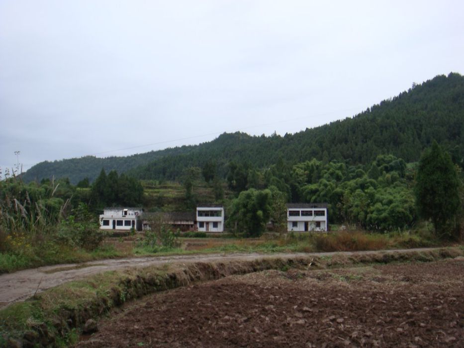太平集村(山東省昌邑市柳疃鎮下轄村) 太平集村(山東省昌邑市柳疃鎮下轄村)
