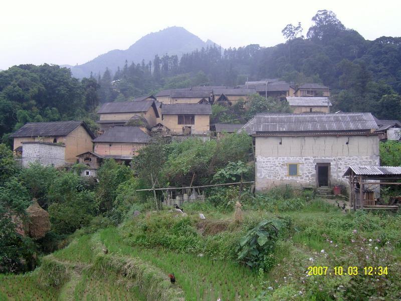 箐腳新寨村 箐腳新寨村