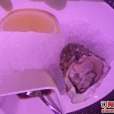 喜悅 CLUB 喜悅 CLUB
