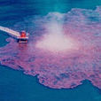 海洋有機物污染