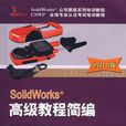 2010版SolidWorks高級教程簡編