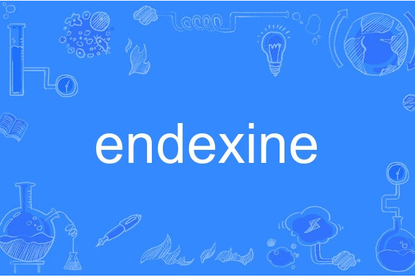 endexine endexine