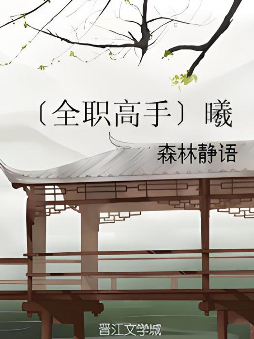 全職高手Aurora 全職高手Aurora