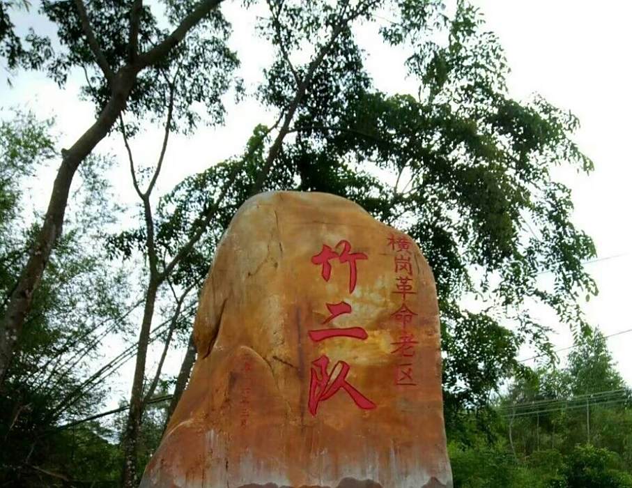 竹二隊 竹二隊