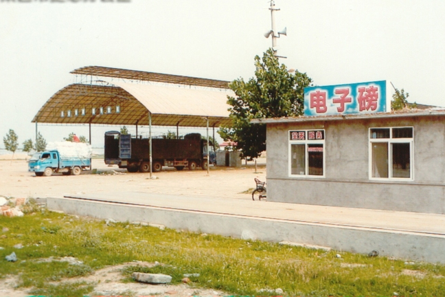 西張家寨子村 西張家寨子村