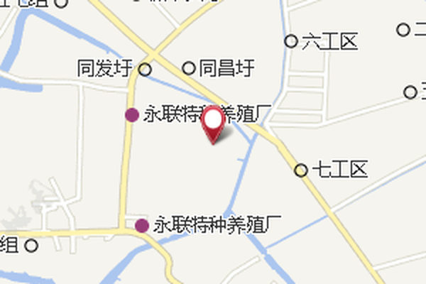 林場六組 林場六組