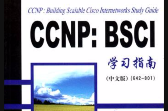 CCNP（中文版）