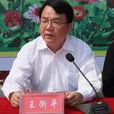 王衡平 王衡平