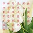 月影百合花 月影百合花