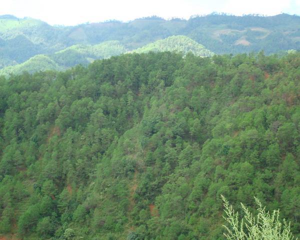 下芒別村 下芒別村