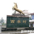 西李村(河南洛陽市伊洛園區李村鎮下轄村) 西李村(河南洛陽市伊洛園區李村鎮下轄村)